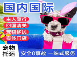 阿荣机场快递国际宠物托运 【国